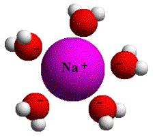 Figure 3 - An example of a hydration shell. A Sodium ion is surrounded by H2O molecules.