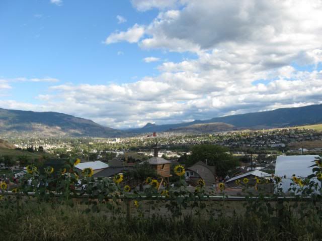 Bella Vista view