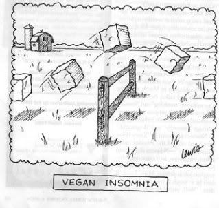 Vegan Insomnia