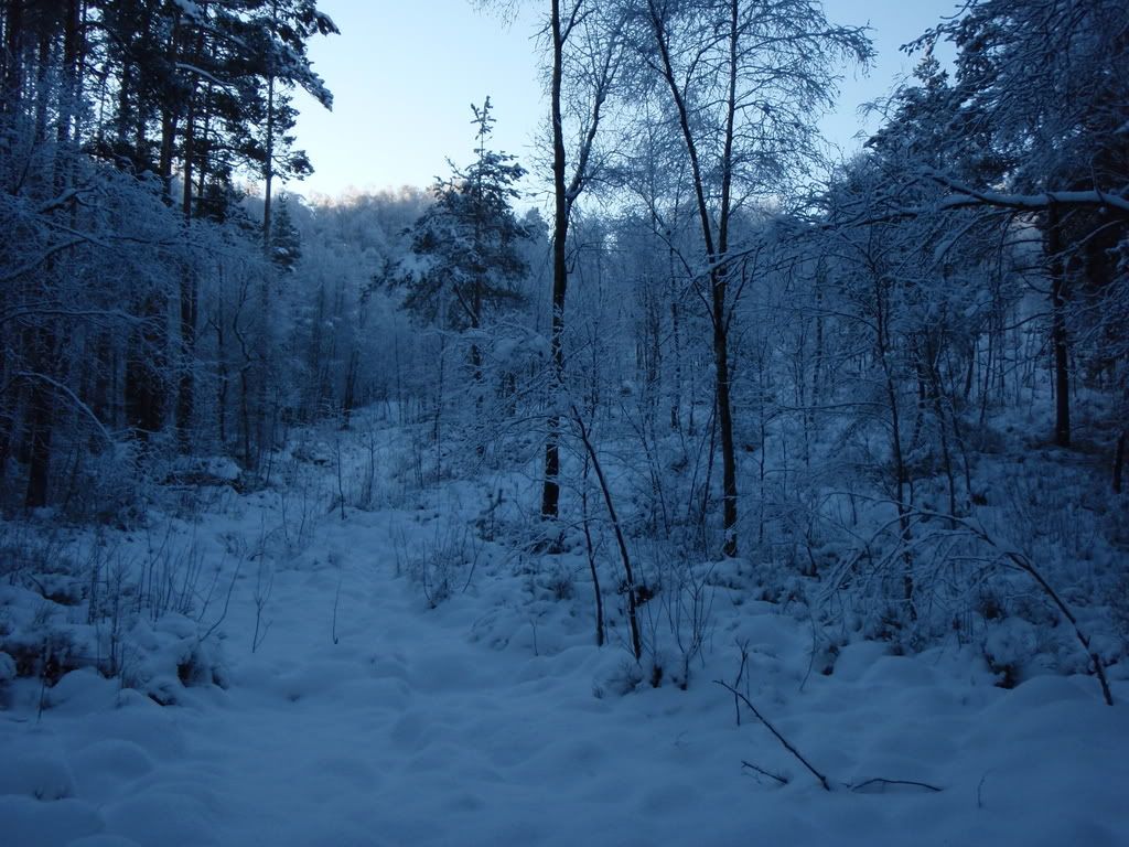Vinterbilder005.jpg
