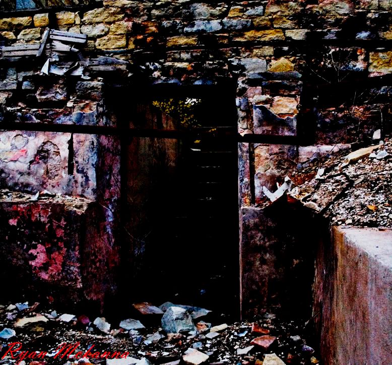 IMAGE: http://i398.photobucket.com/albums/pp66/rebel3120/brickshaunt.jpg