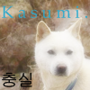 Kasumi. Avatar