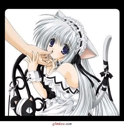 cat girl Pictures, Images and Photos