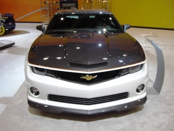 3073924_1380_full.jpg