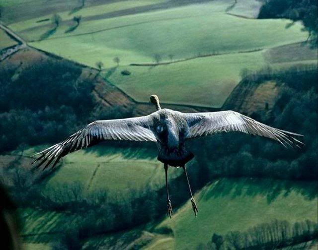 beautiful-nature-23_01.jpg