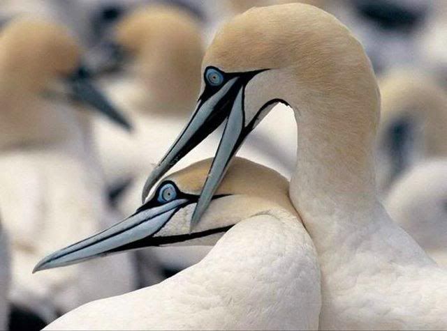 beautiful-nature-23_02.jpg