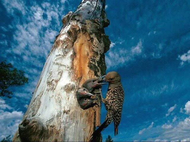 beautiful-nature-23_03.jpg