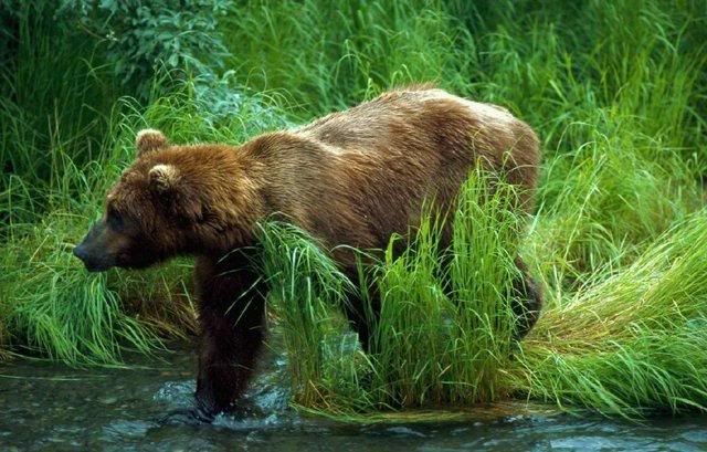 beautiful-nature-23_16.jpg