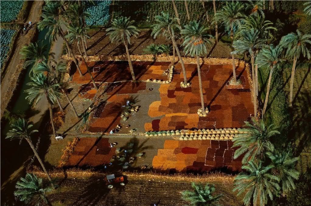 Egypte01.jpg