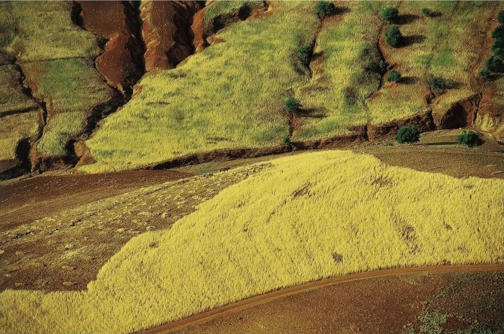 Maroc08.jpg