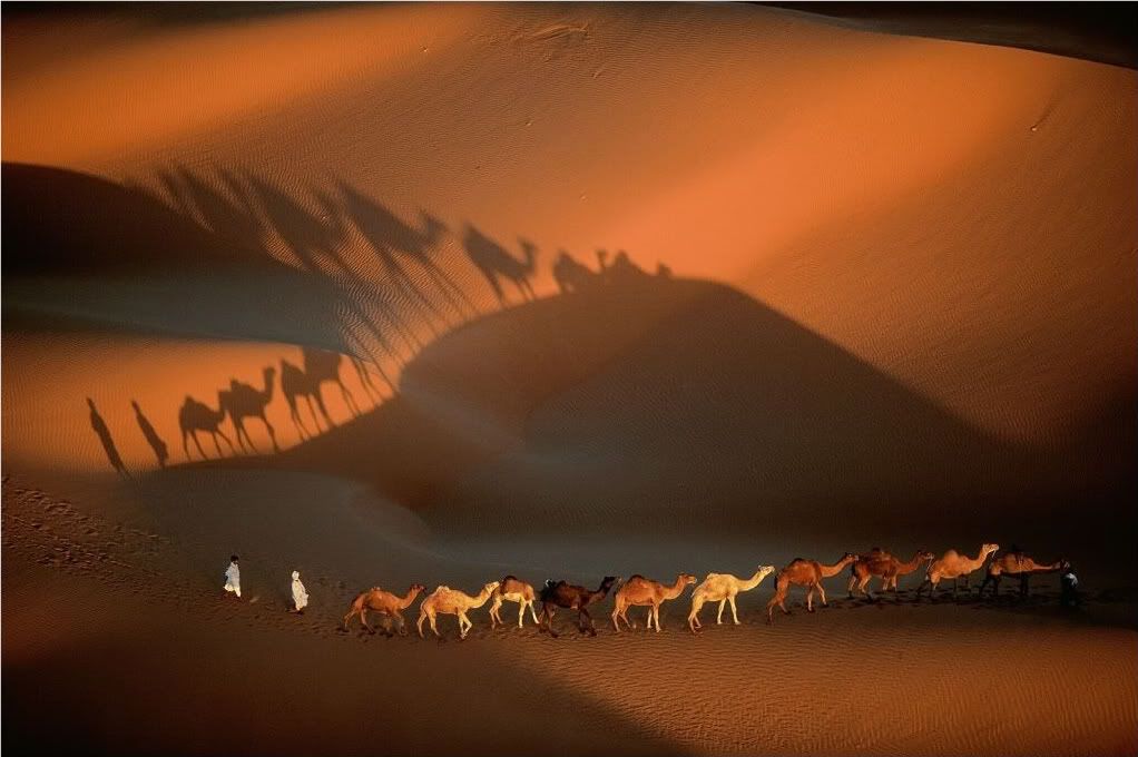 Mauritanie01.jpg
