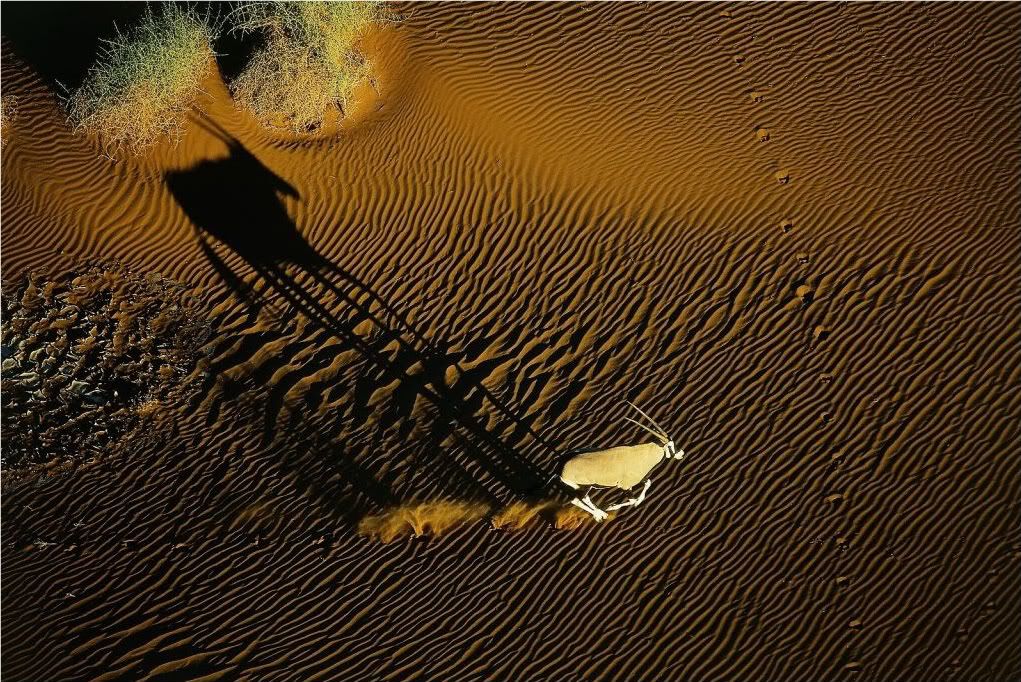 Namibie04.jpg