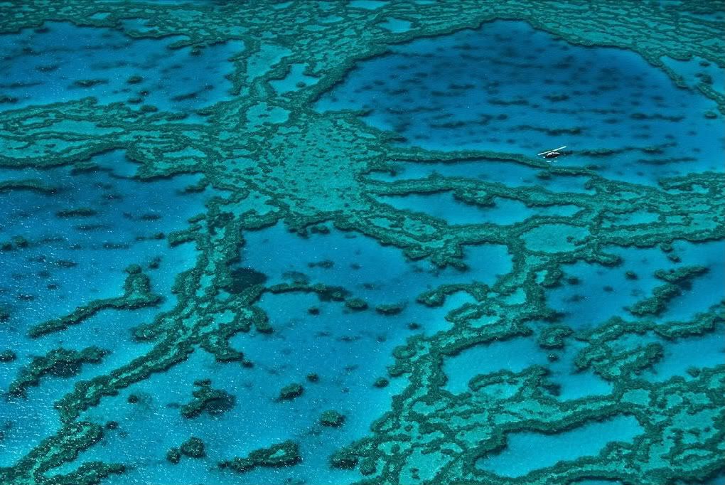 Australie07.jpg