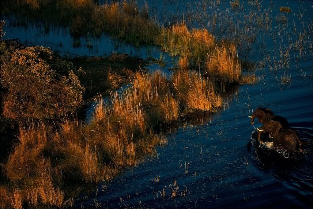 Botswana00.jpg