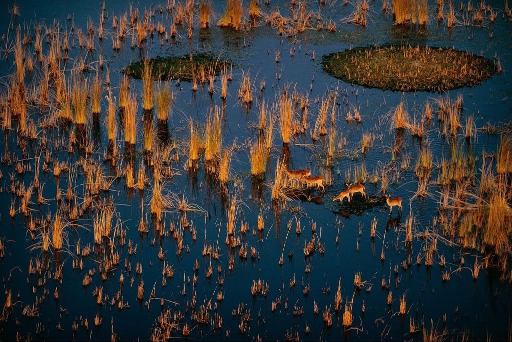 Botswana01.jpg