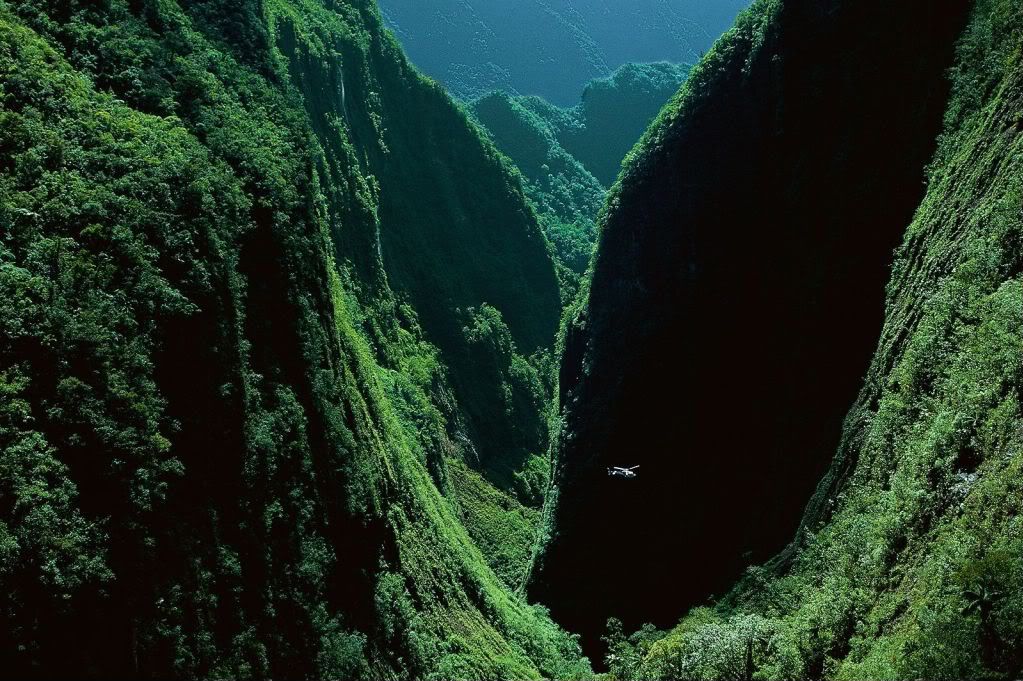 GorgesduBrasdeCaverneledelaRunionFr.jpg