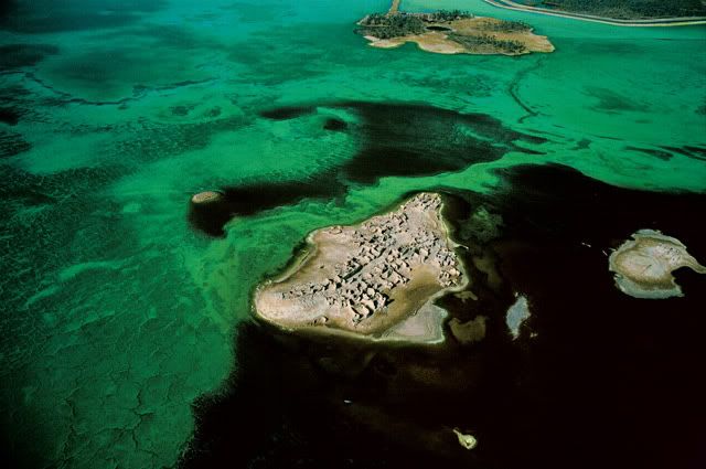 IlesdeloasisdeSiwaEgypte.jpg