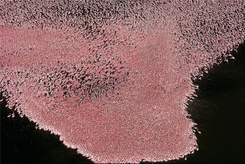 Kenya00.jpg