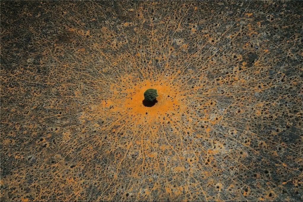 Kenya01.jpg
