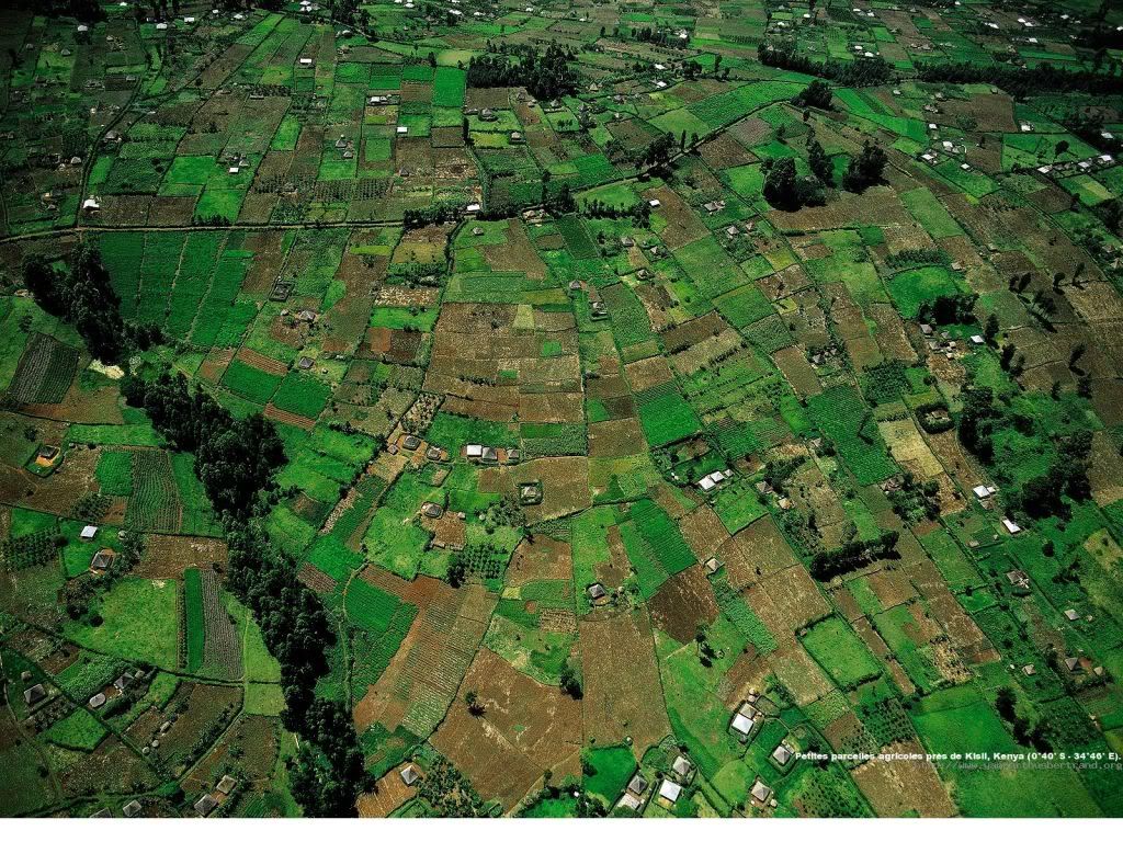 Kenya10.jpg