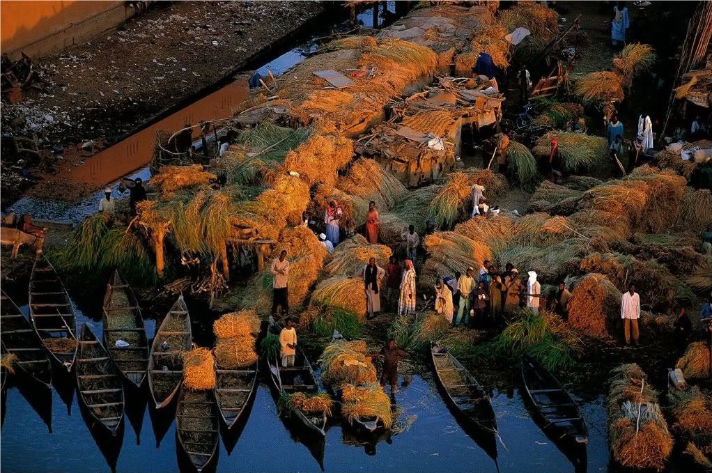 Mali03.jpg