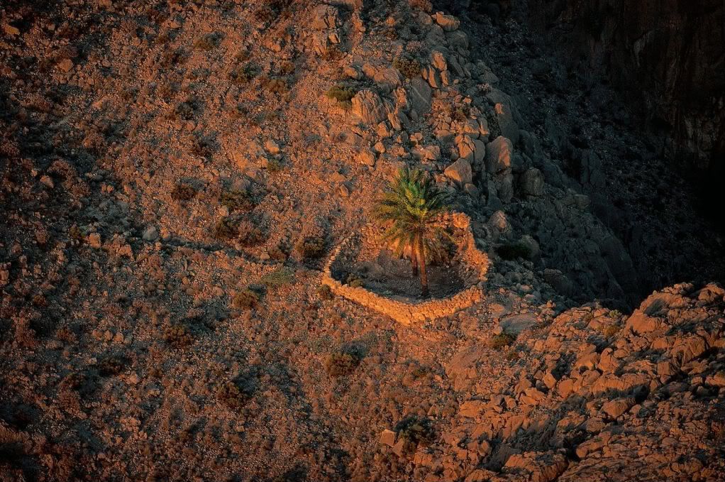 Oman00.jpg