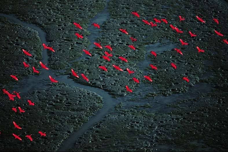 Vnzuela-DeltaAmacuro.jpg