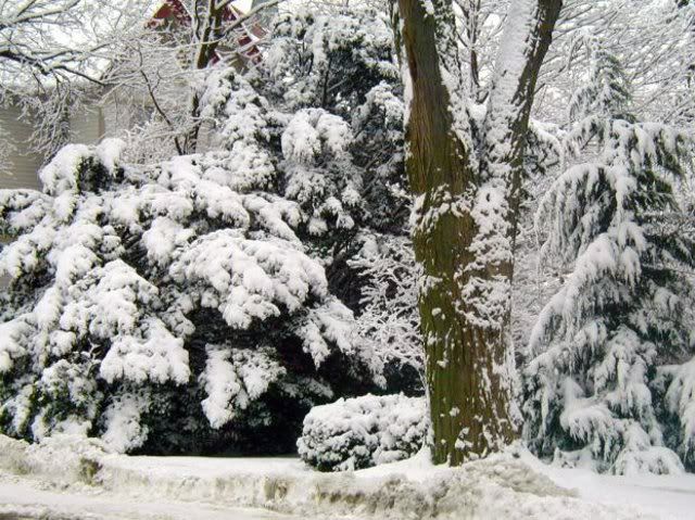 04-9.jpg