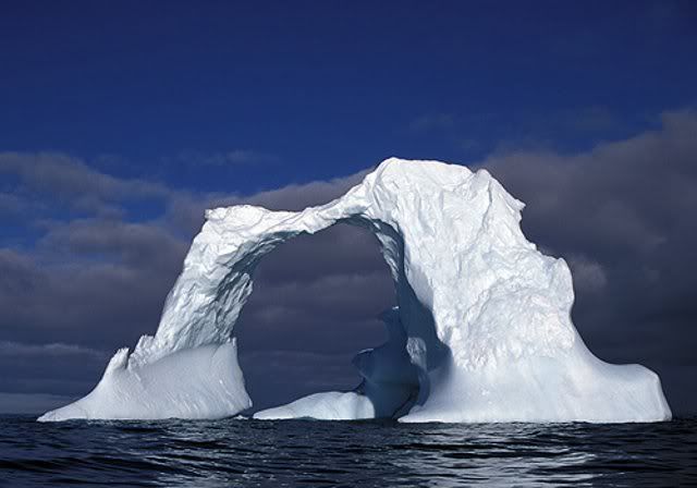 Arctic.jpg