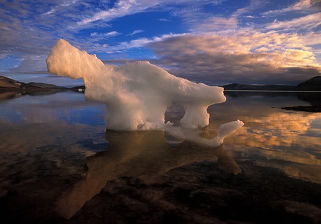 Arctic1.jpg