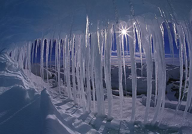 Arctic5.jpg