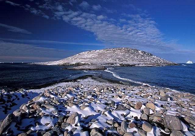 Arctic7.jpg