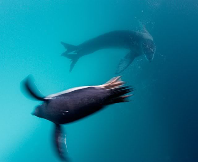Arctic8.jpg