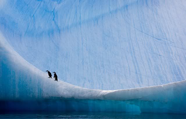 Arctic9.jpg