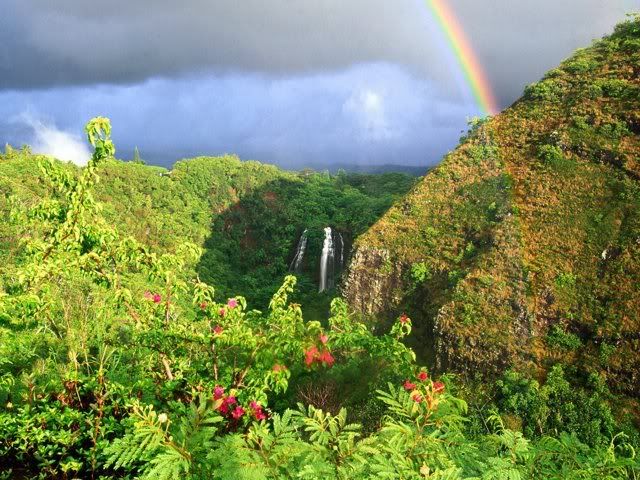 BNature10.jpg
