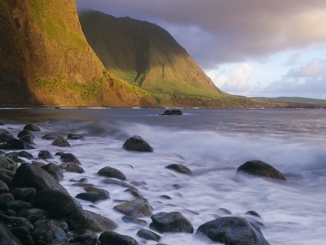 BNature12.jpg