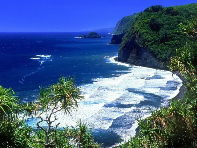 BNature8.jpg