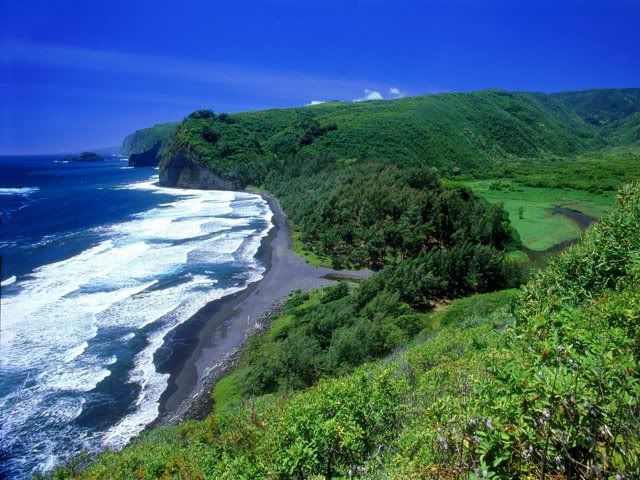 BNature9.jpg