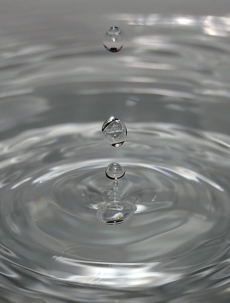 DSC_1175.jpg