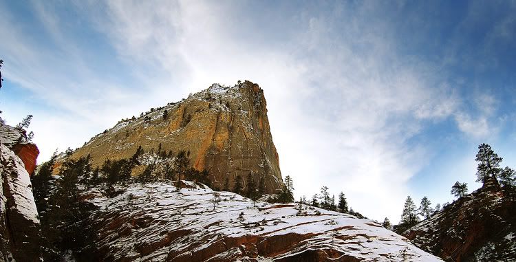 DSC_5770.jpg