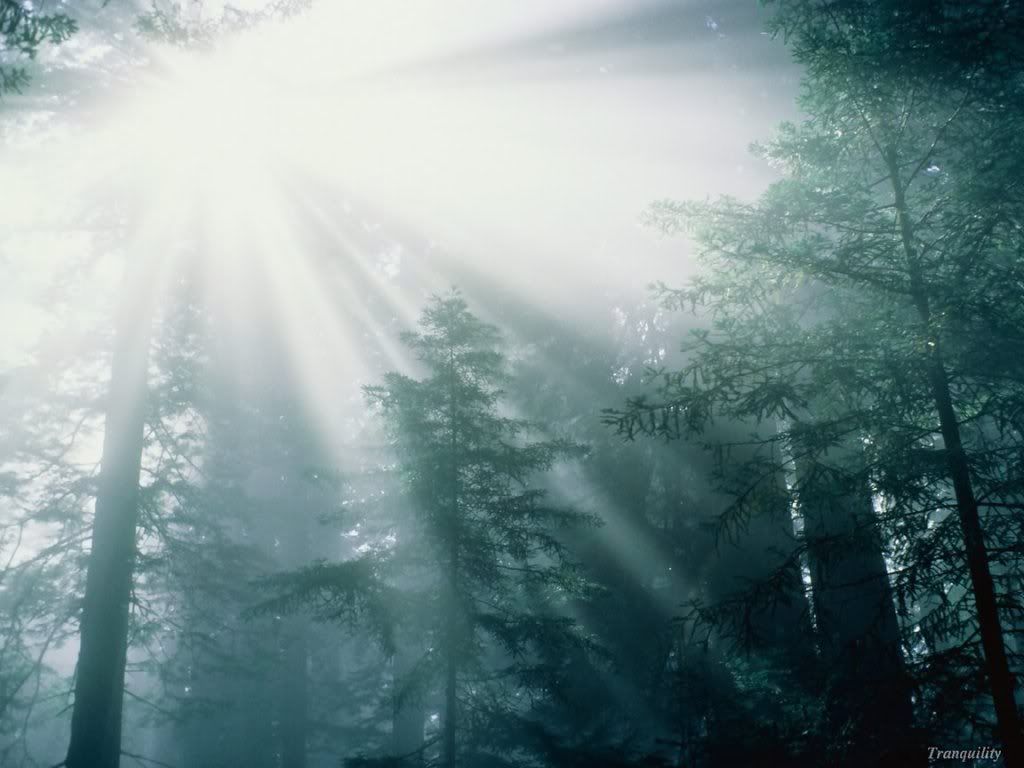WebshotsWallpaper017.jpg