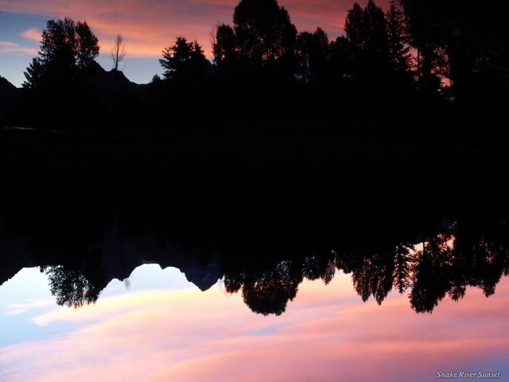 WebshotsWallpaper075.jpg