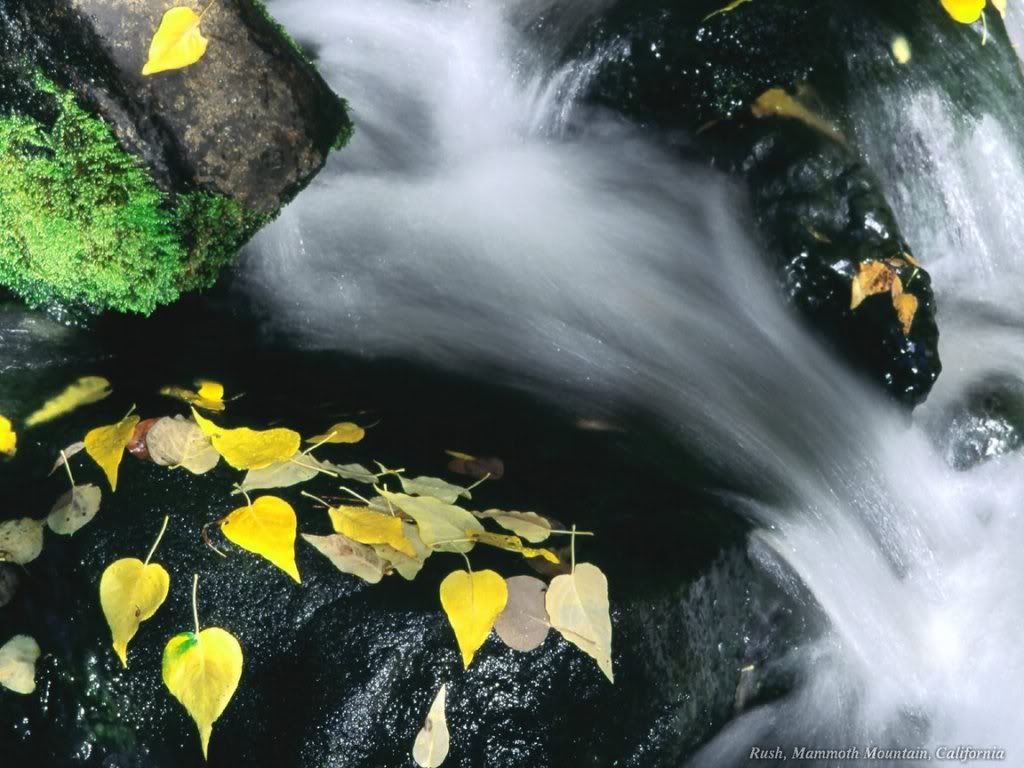 WebshotsWallpaper127.jpg