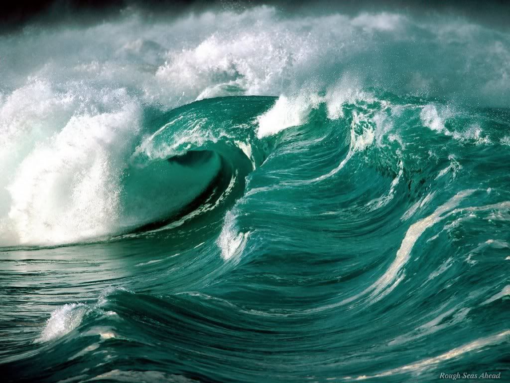 WebshotsWallpaper132.jpg