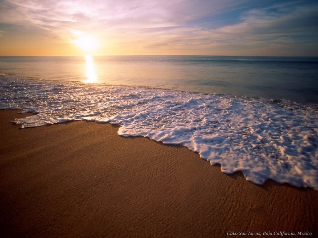 WebshotsWallpaper169.jpg