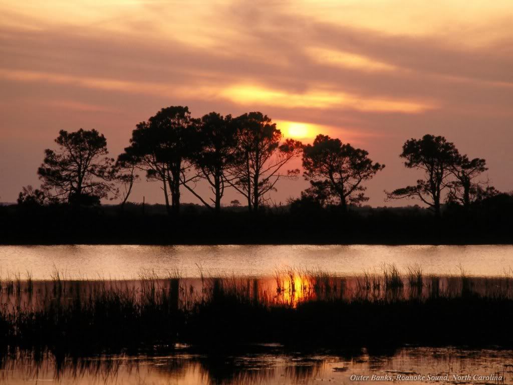 WebshotsWallpaper204.jpg