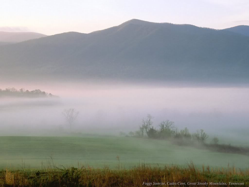 WebshotsWallpaper355.jpg