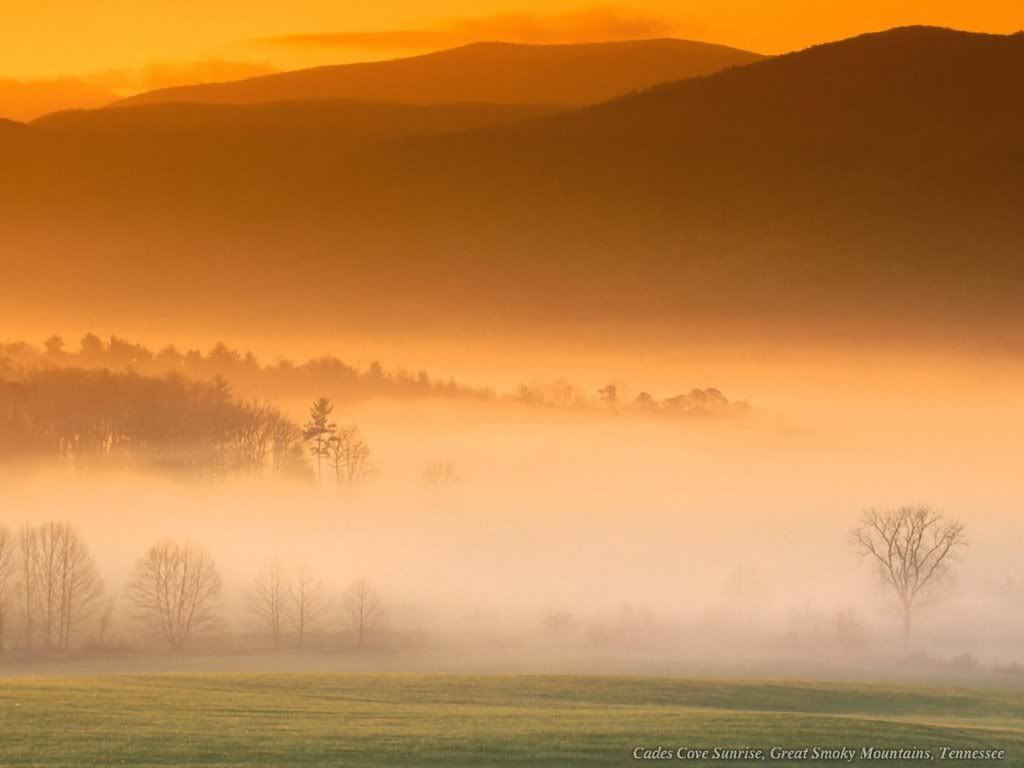 WebshotsWallpaper356.jpg