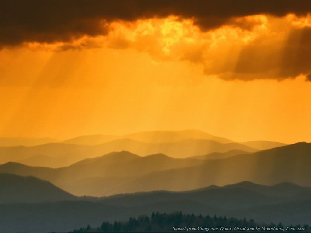 WebshotsWallpaper357.jpg
