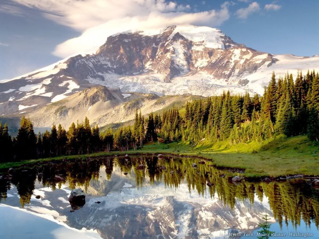 WebshotsWallpaper360.jpg